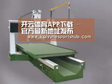 产品名称九