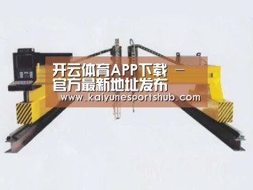 产品名称十七